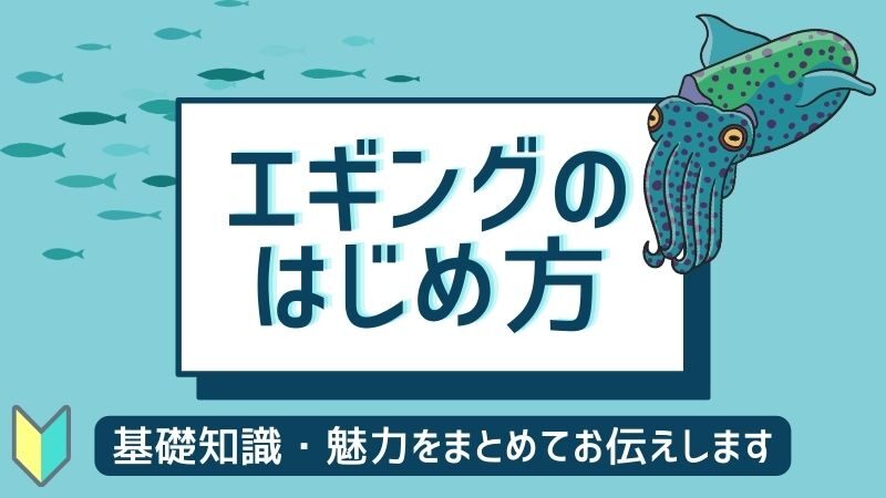 初心者向け】エギングの始め方｜エギングの基礎知識・魅力をまとめて